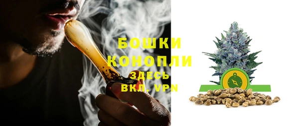 сатива Осташков