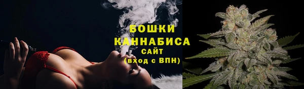 сатива Осташков