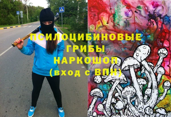 ALPHA-PVP Осинники